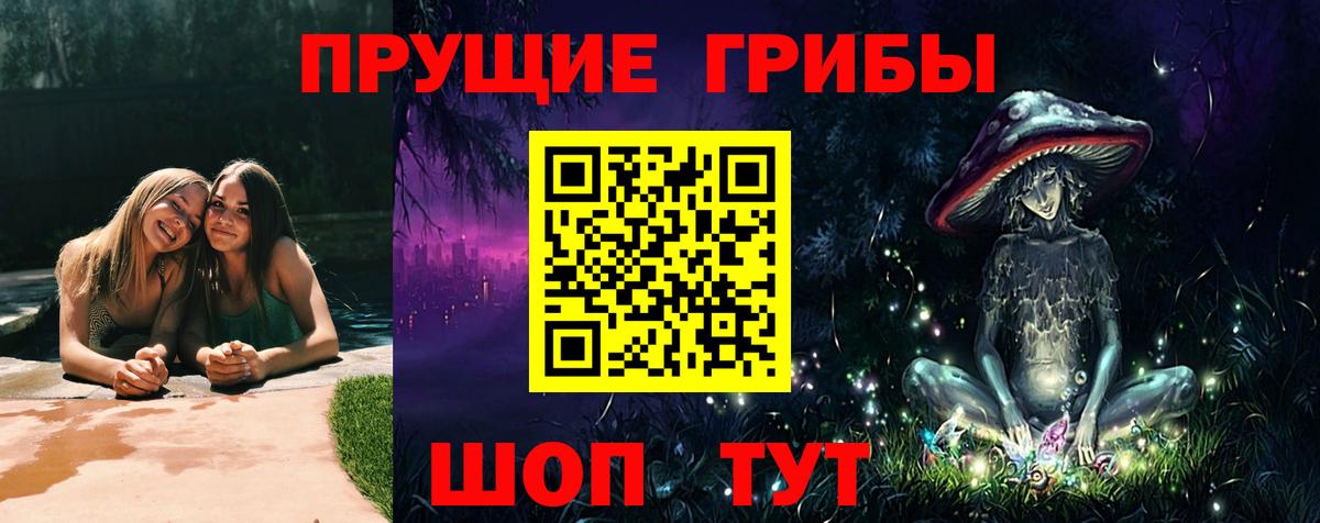 Кизилюрт  Псилоцибиновые грибы прущие грибы  Вход с VPN 