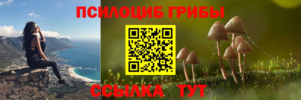 Псилоцибиновые грибы MAGIC MUSHROOMS Кизилюрт
